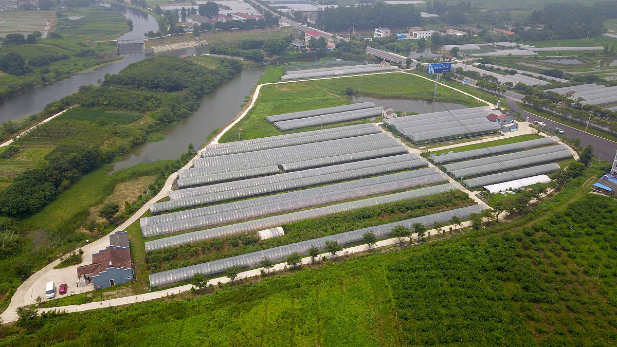 太湖职业技术学校设施农业生产技术课程：学习内容详解