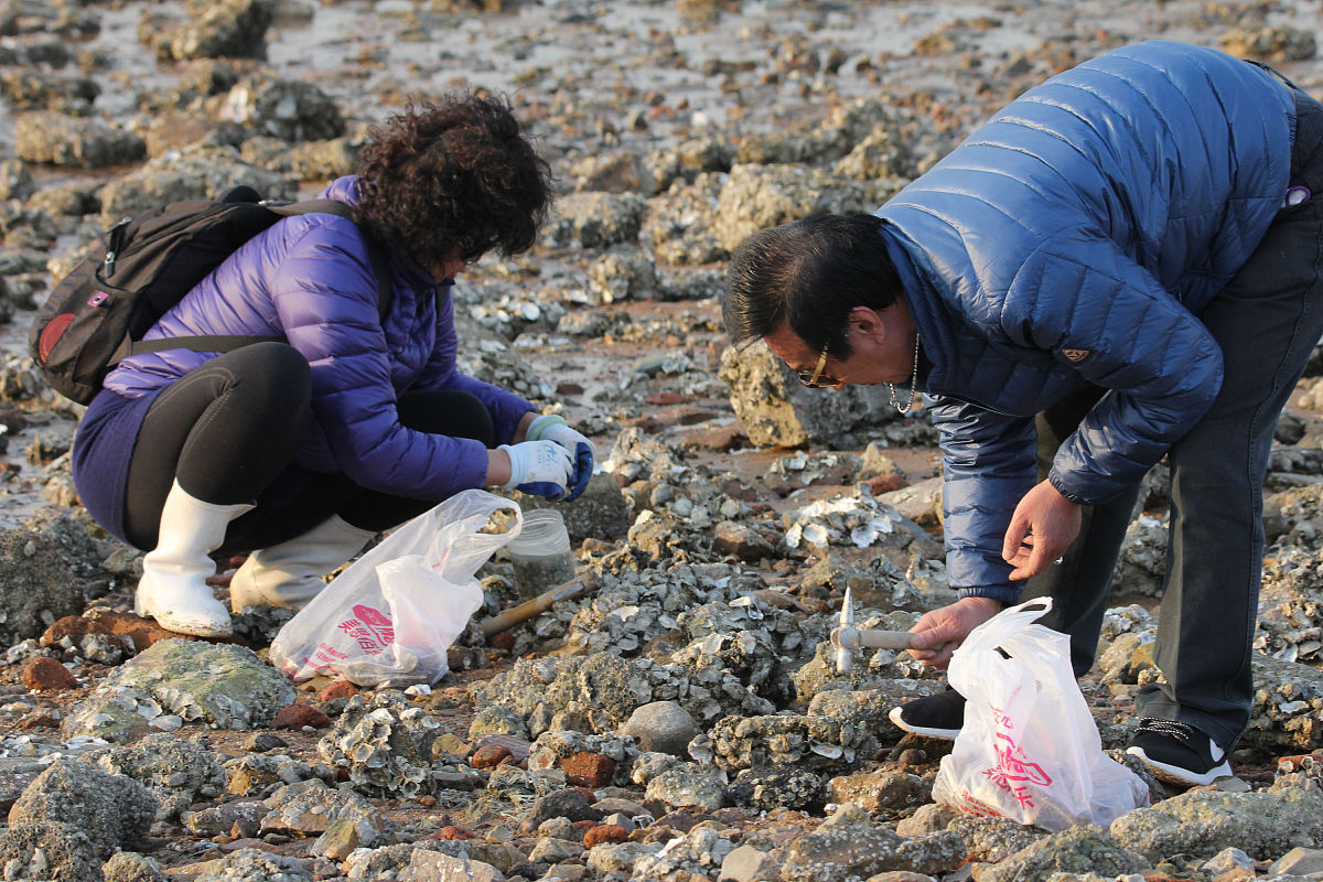 以一件新鲜事为题的650字作文 内容挖蛏子
