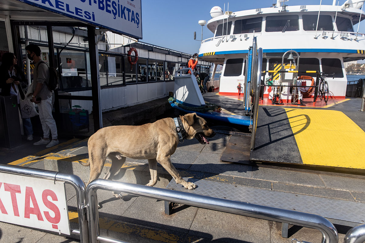 女子中专学校乘车路线