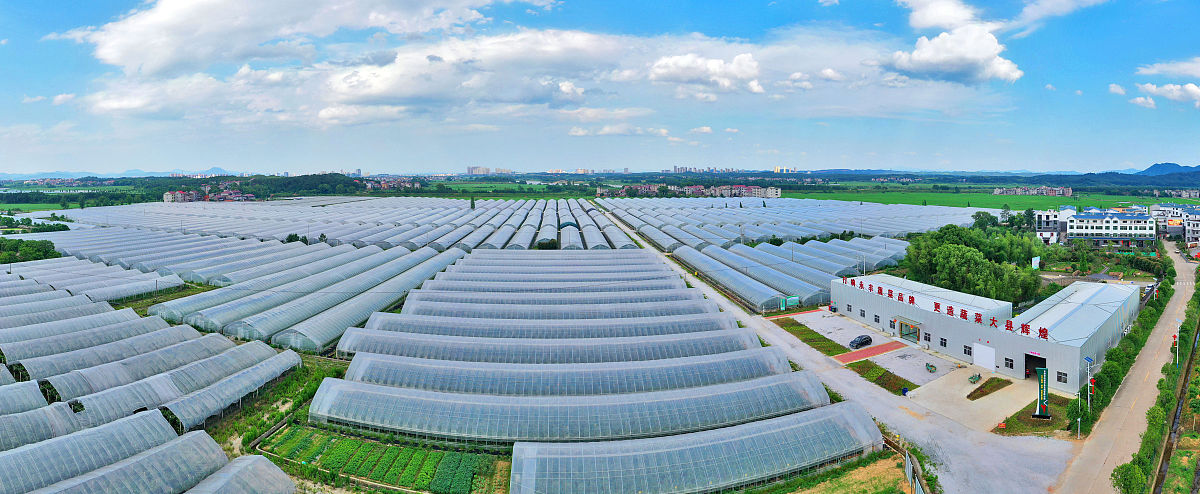 用中文写一篇关于《延安市生猪养殖现状与可持续发展对策》论文的国外文献综述不少于800字注明作者姓名及发表时间。