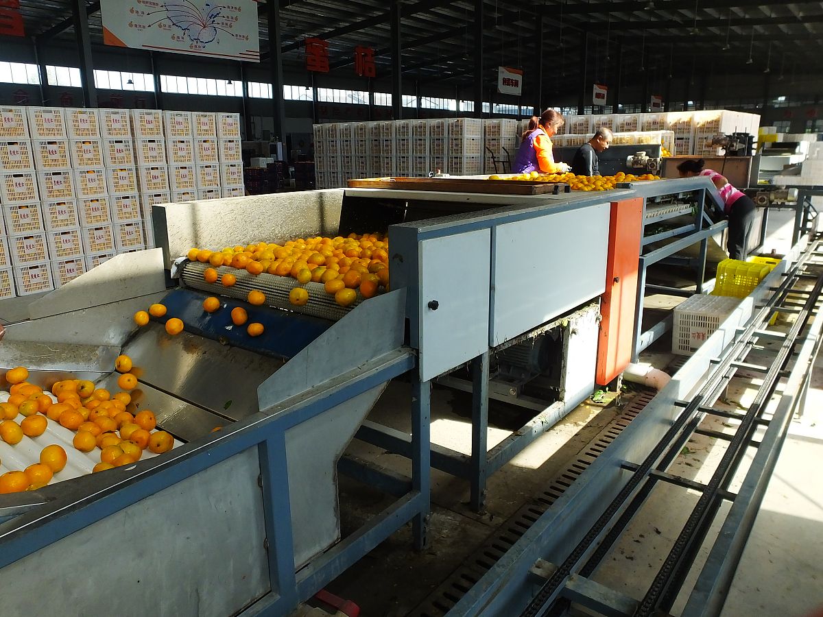 枇杷果汁加工设备方案设计与代工合作防泄密指南