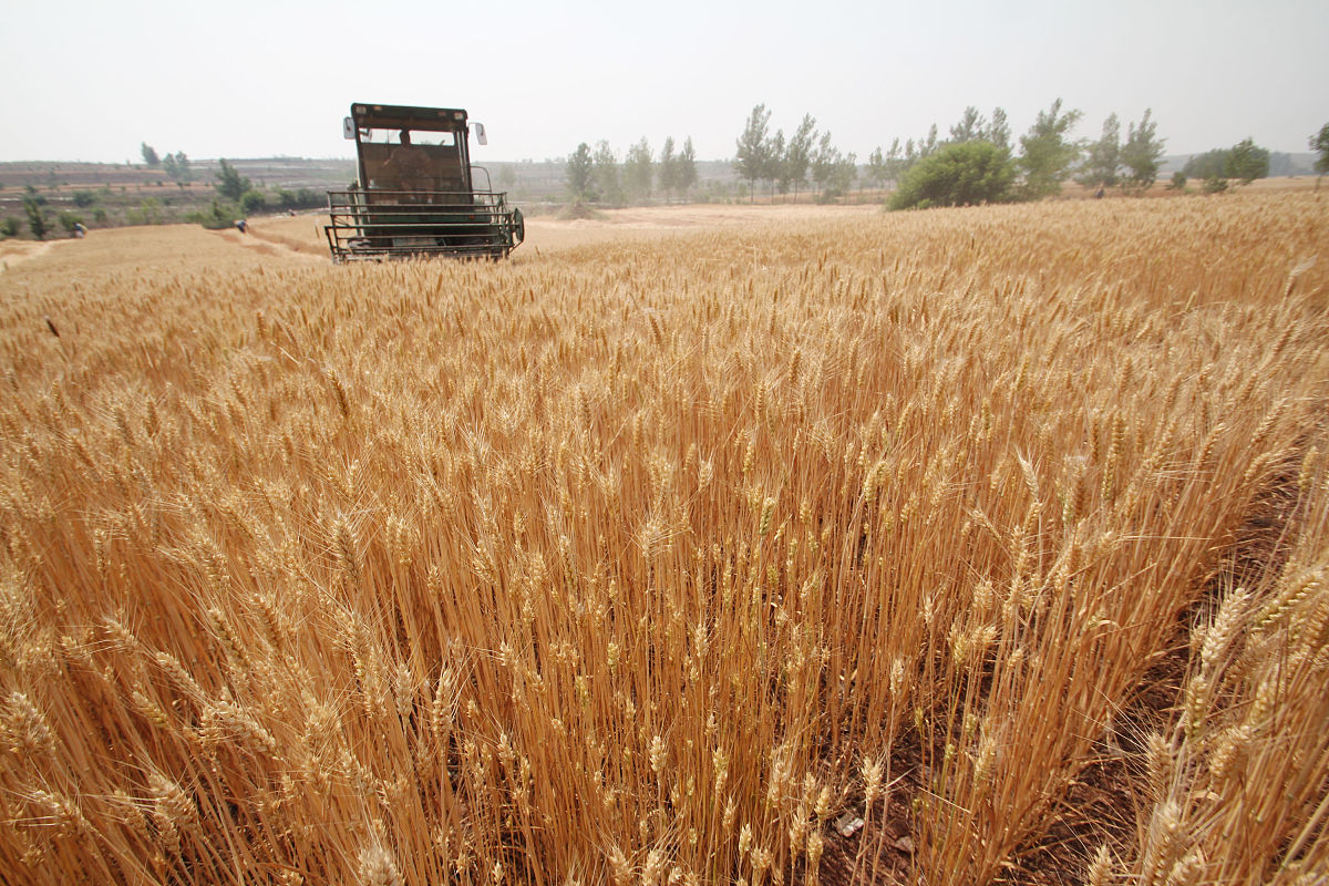 蒙自县中等农业机械化技术学校招生：农村经济综合管理专业
