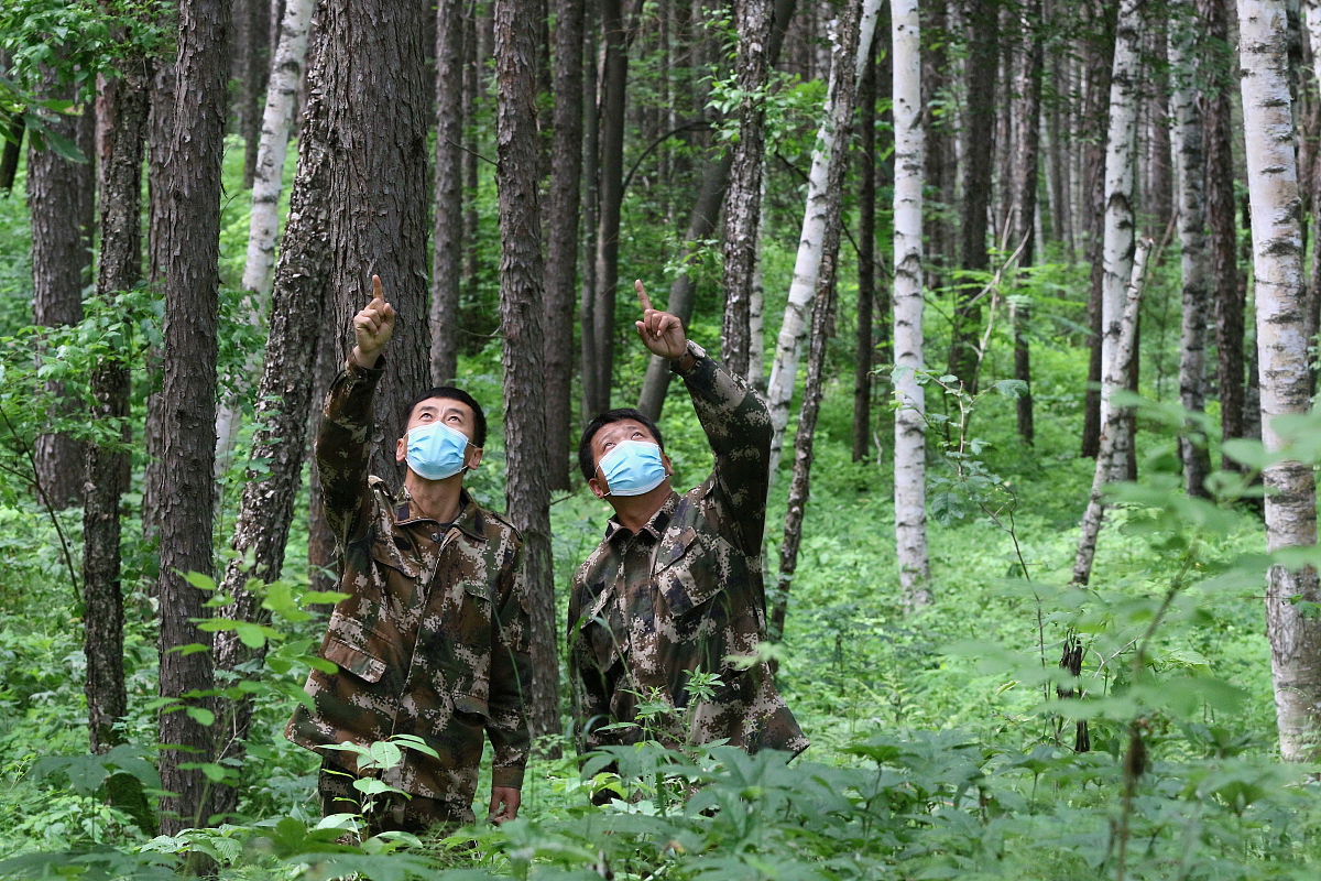 黑龙江林业职业技术学院森林资源保护专业就业前景如何