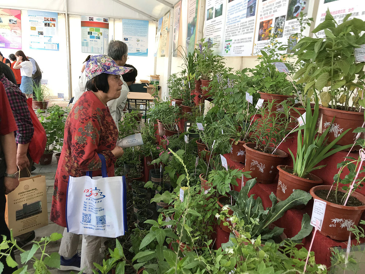 双柏县职业高级中学中医药专业招生：传承中医药文化，开启美好未来