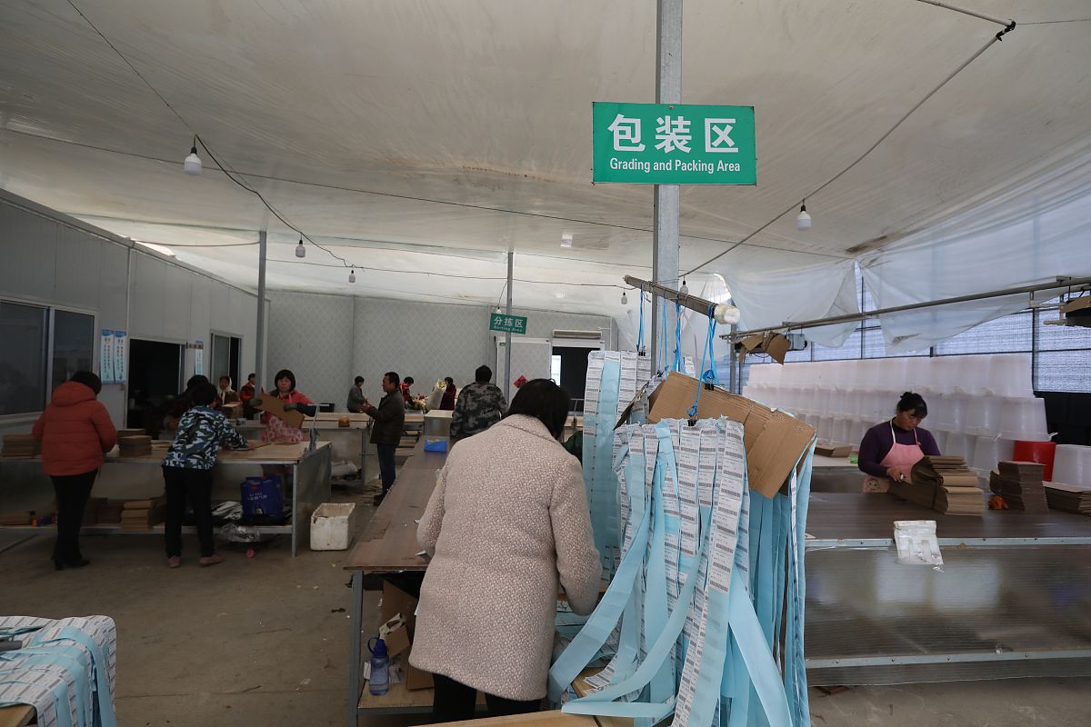 茂名卫生学校2020年招生办联系电话公布