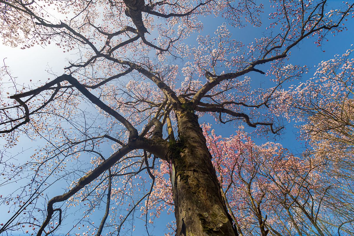绵阳工贸学校招生条件：2022年报考指南