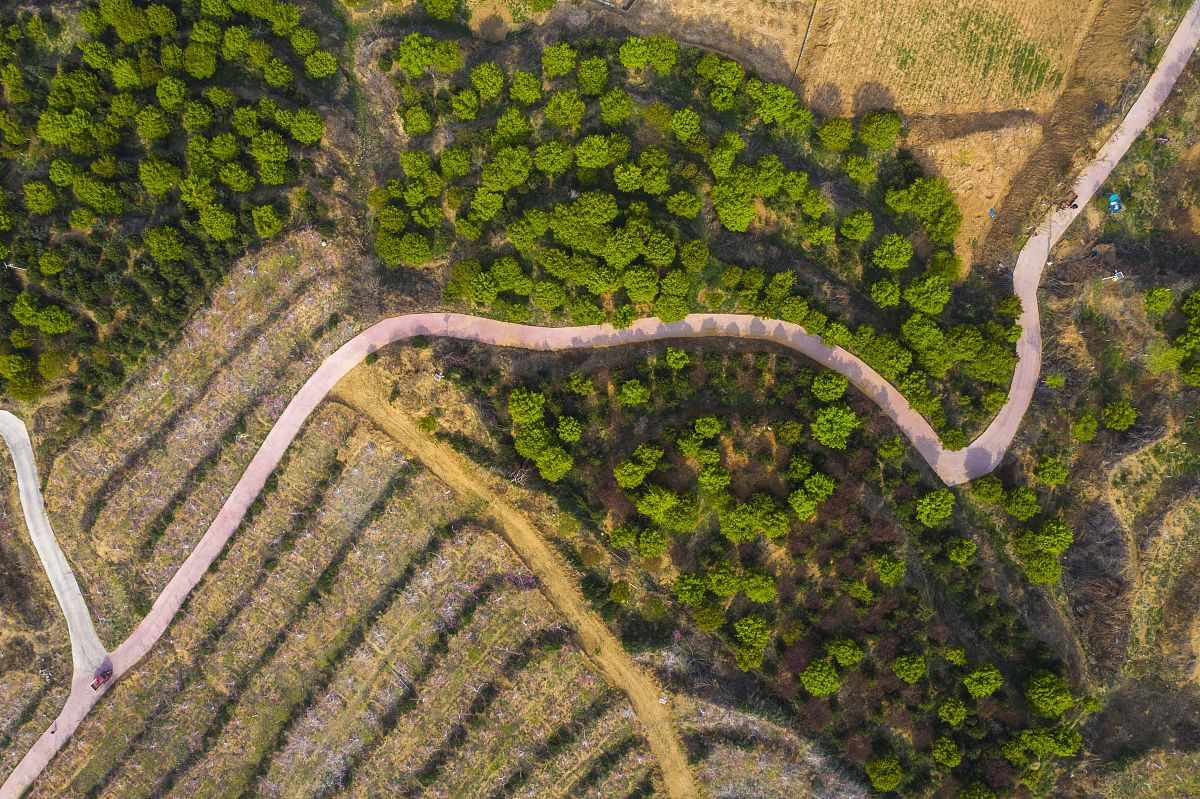 临沂科技职业学院动物医学专业课程设置详解：从基础到实践