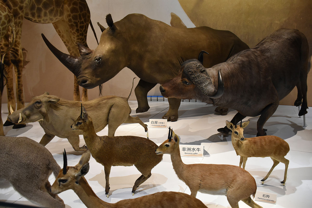 如何深入挖掘历史中的细节和背后的故事？