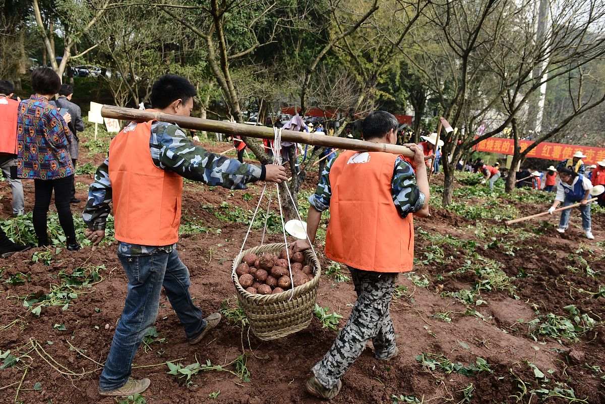 四川酒店管理专业大学推荐：就业前景广阔