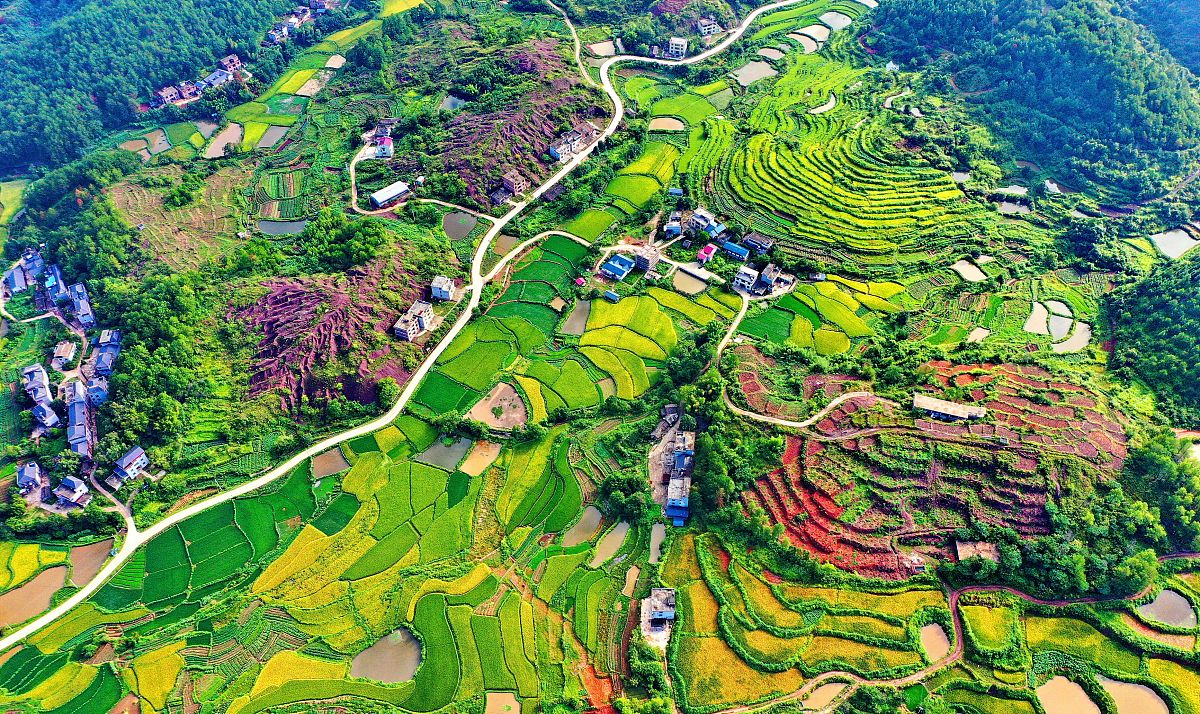 作为安徽农业大学的学生暑假将在池州市进行三下乡以乡村振兴中的产业振兴为本次活动的主题的 时要进行一些宣讲活动请详细 写一份关于包括宣讲人数宣讲内容概况宣讲地点宣讲主题宣讲模式互动环节的农旅结合产业宣讲方案