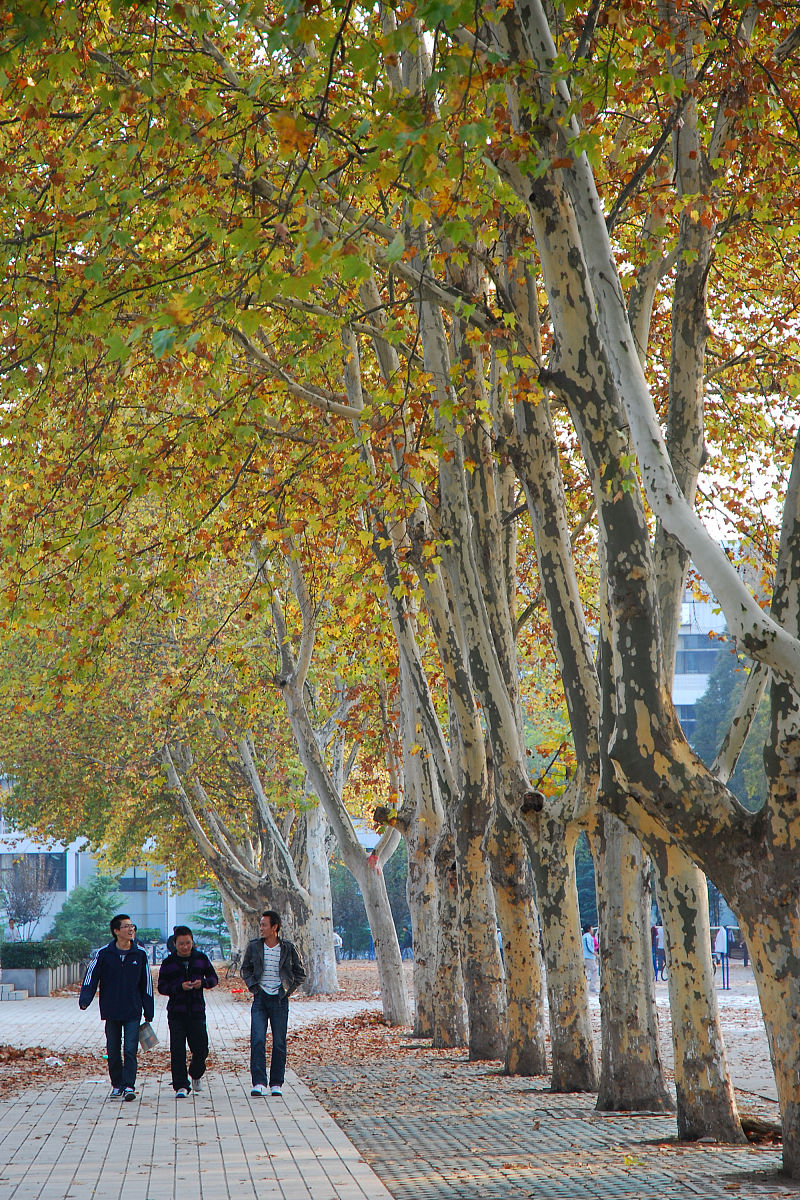 成都铁路机电工程学校毕业生就业前景分析：适应时代需求，成就未来发展