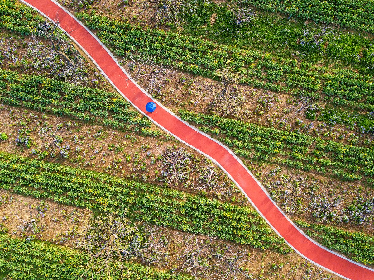 写一遍春天的1000字作文