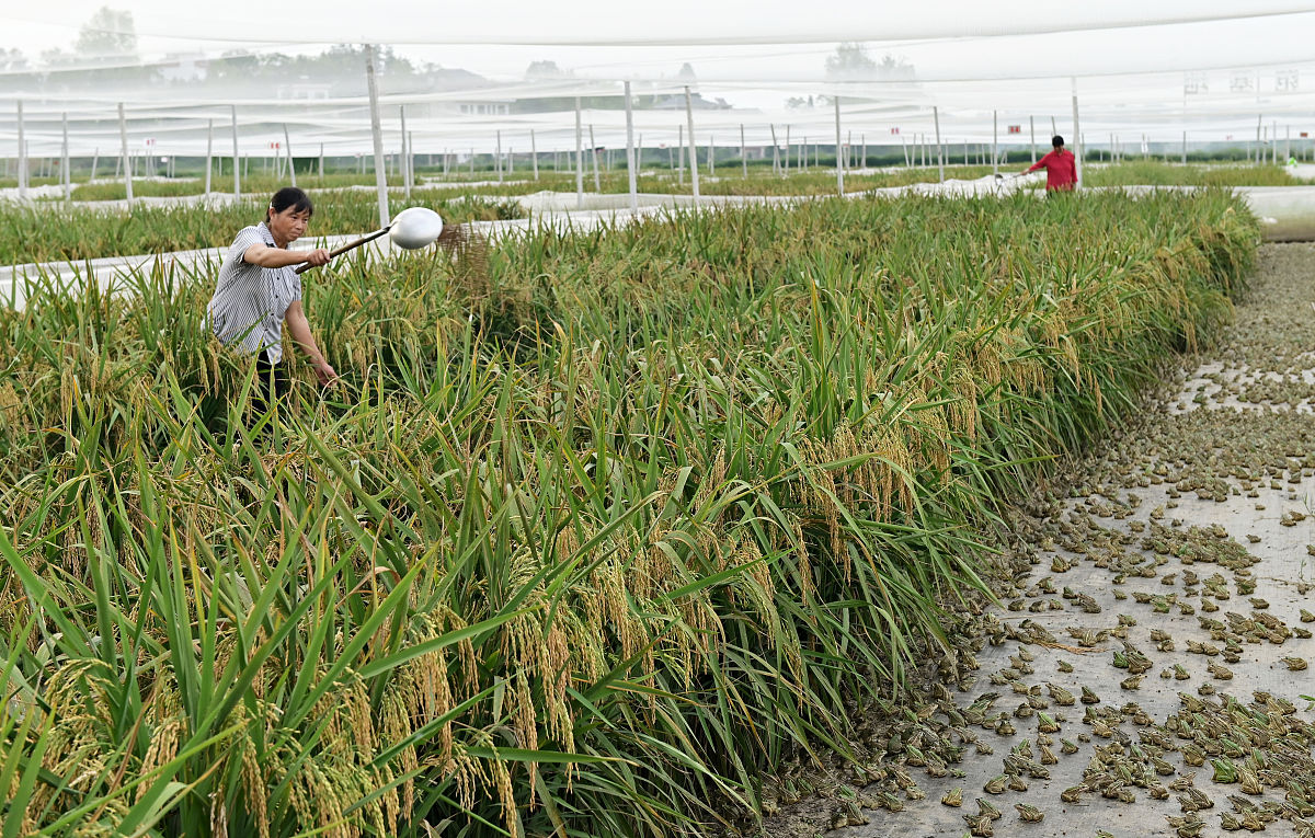 营口市农业工程学校专业介绍：2021年招生专业及未来发展方向