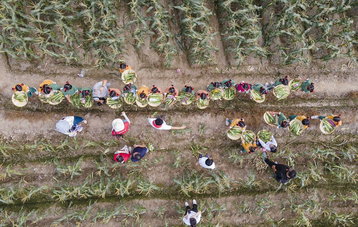 山西农业大学经济动物学专业怎么样
