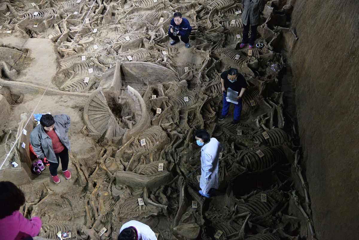 探险家寻宝记：21世纪中国南方神秘遗迹探险