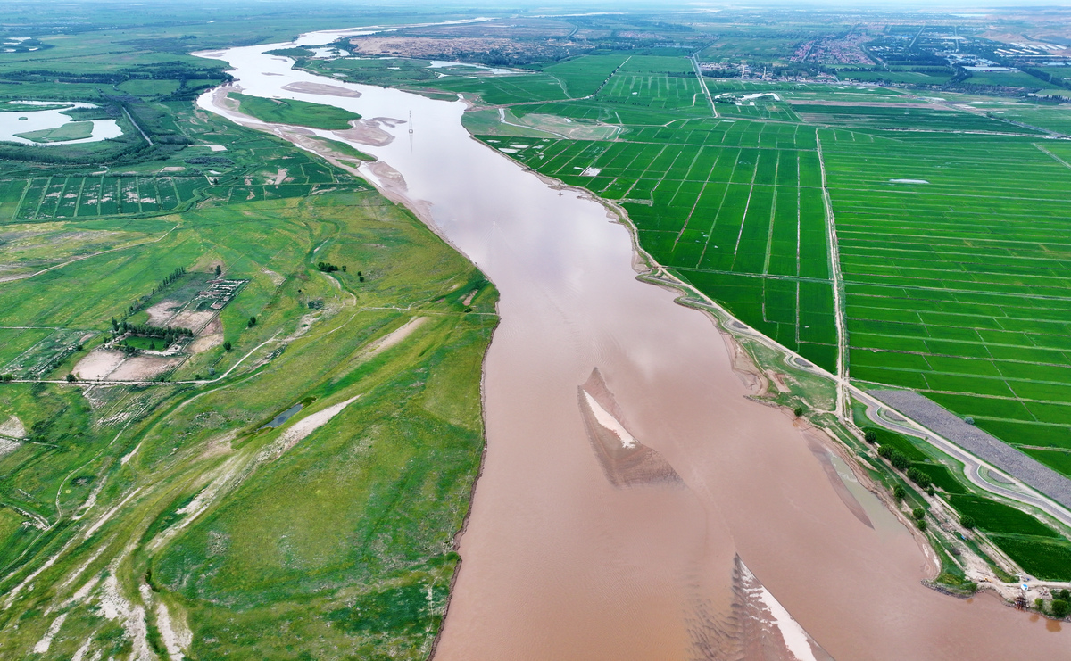 山东黄河文化传承与高质量发展：现状与挑战