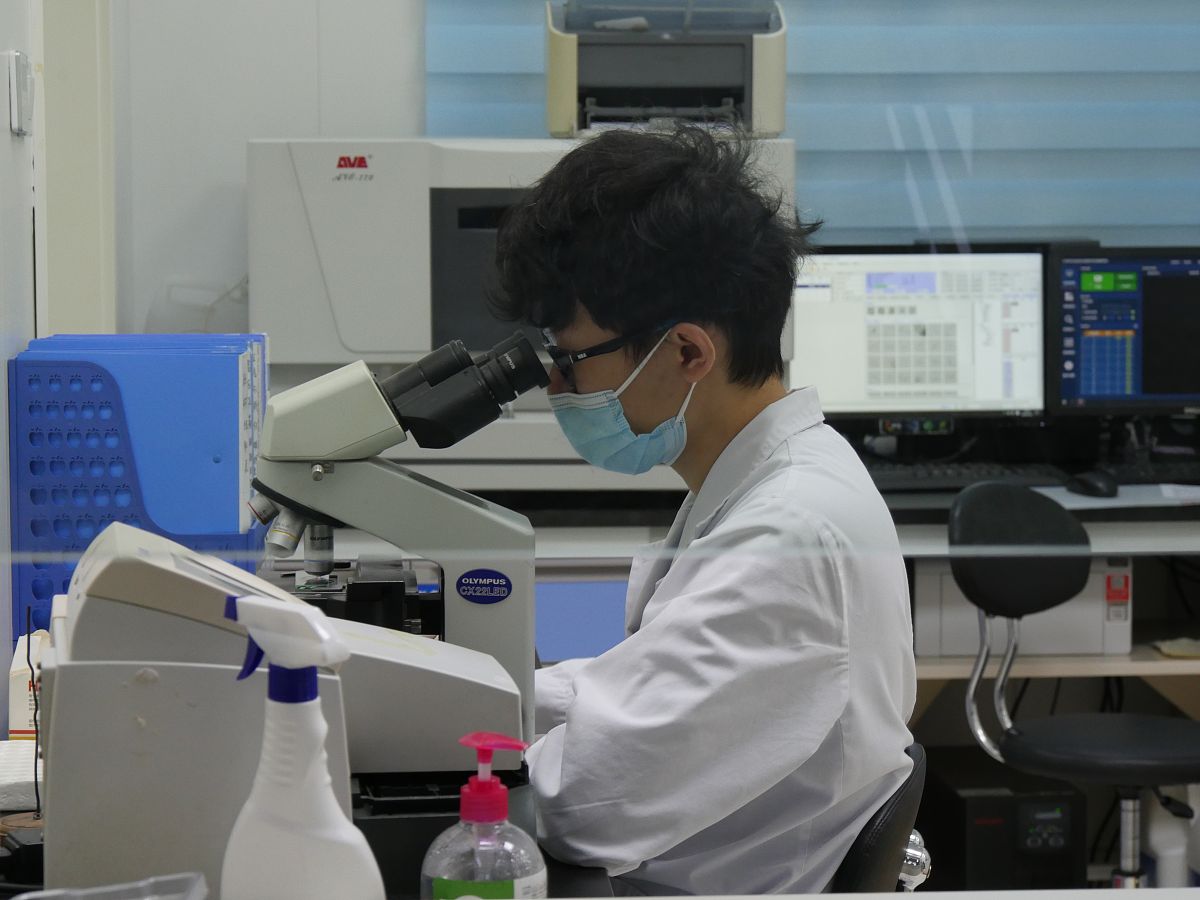 虫害侵蚀检测技术分类