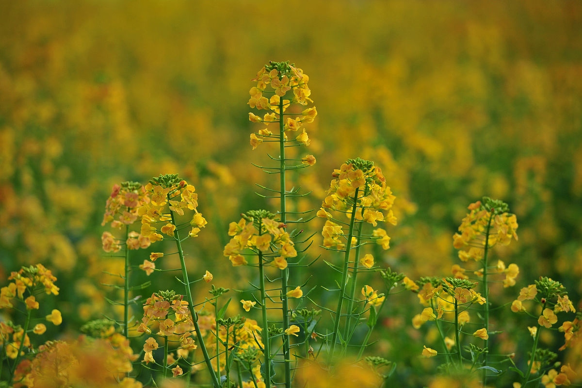 兰溪江南职业技术学校2023年招生报名简章-好不好