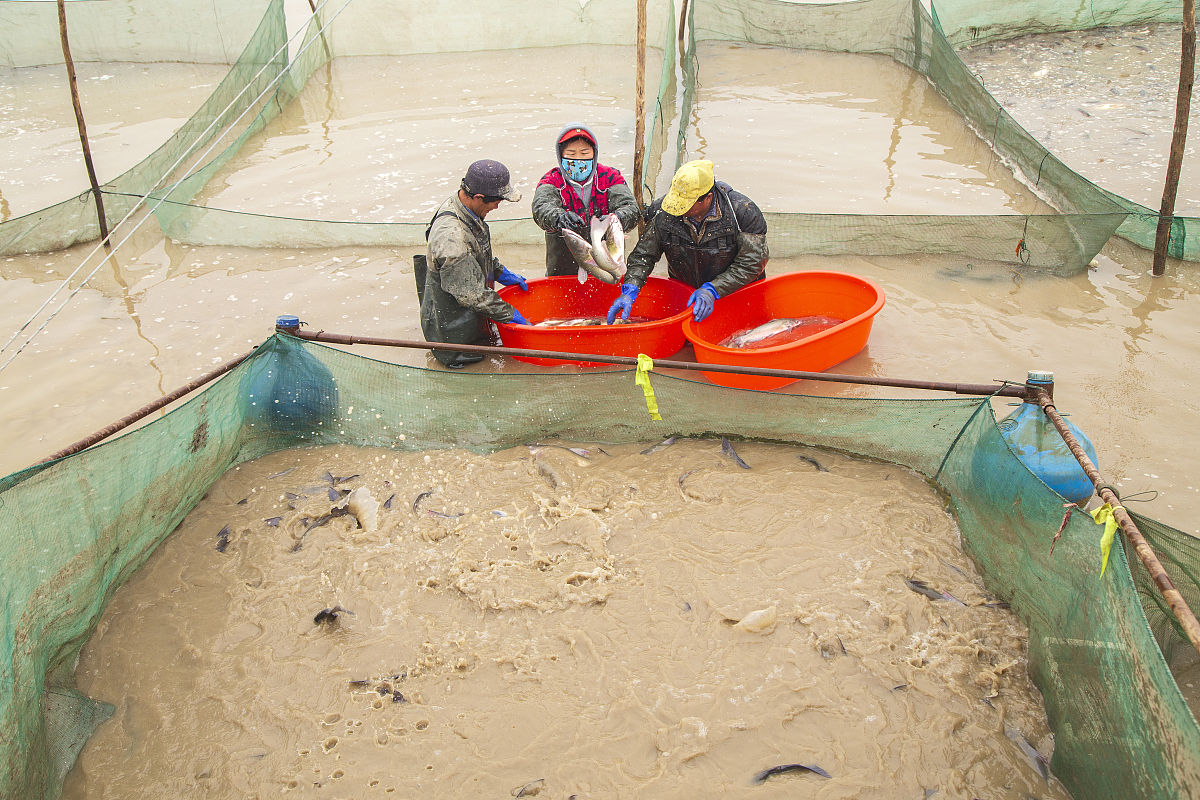 2019年四川省水产学校招生专业及计划
