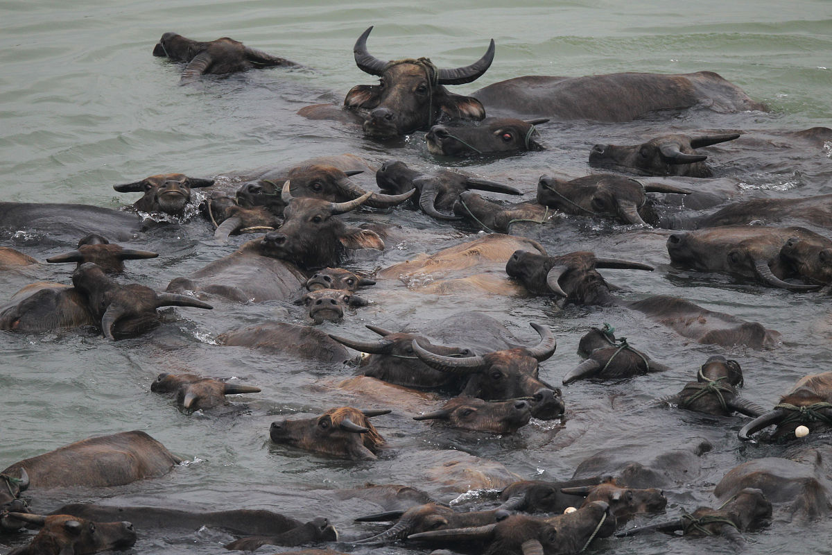 南充不错的职业学校排名你有多了解