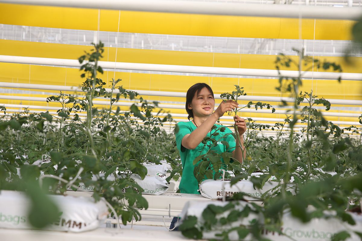 眉山市信息工程学校地址在哪里 乘车路线