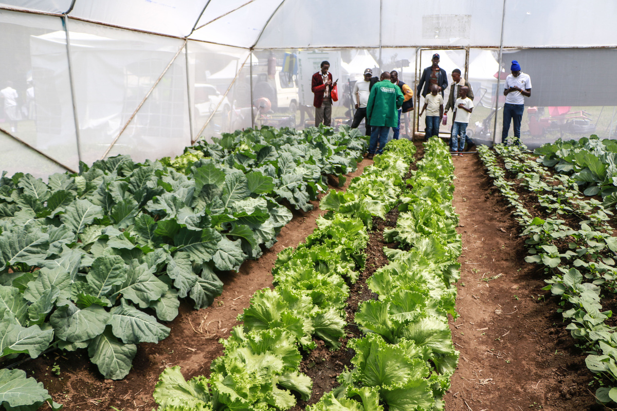 农业创业项目大全：50字总结热门思路