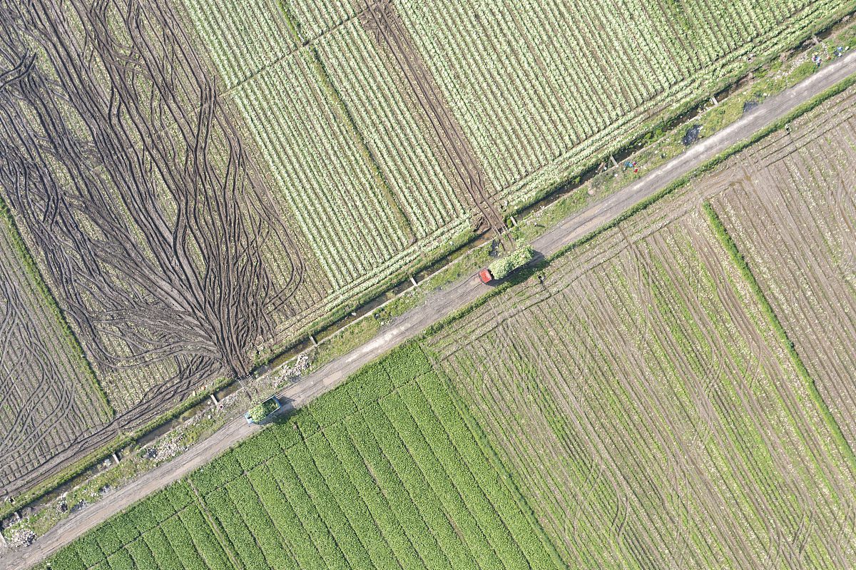 湖州交通学校设施农业与装备专业前景如何