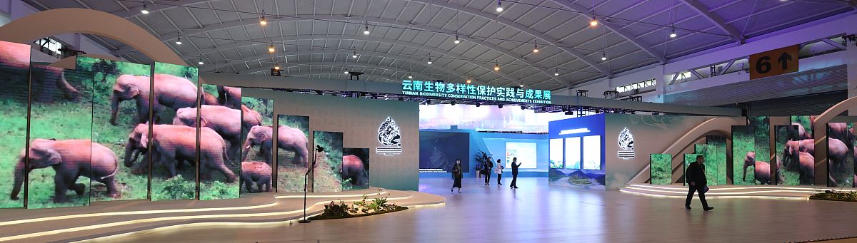中考地理生物知识点解析：生态环境、生物地理、生态系统和生物多样性