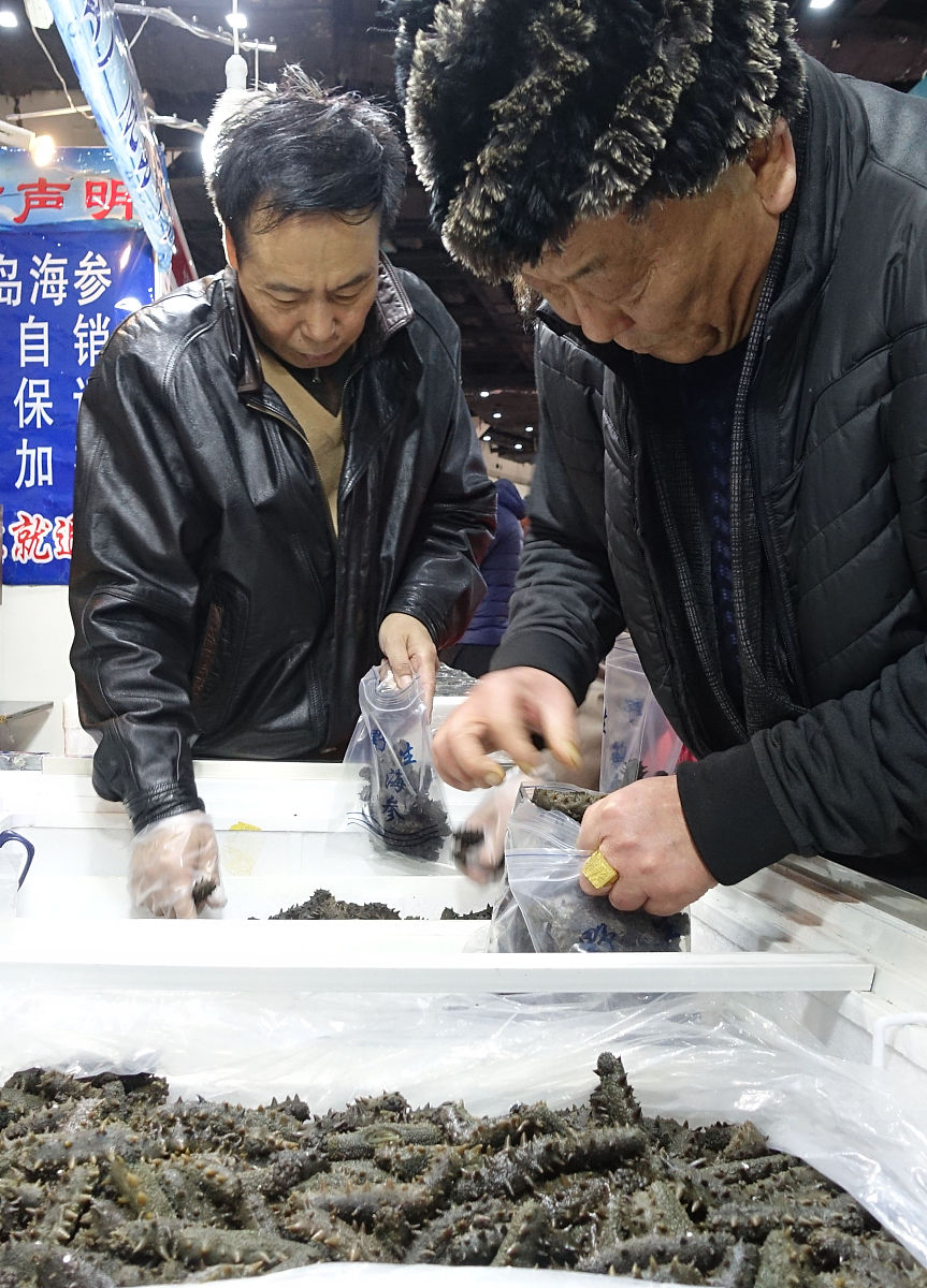 大连海参十年老店，鲜活底播海参，肉厚头弹，滋补营养！