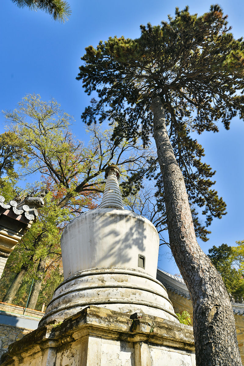 2020年11月4日,北京,位于门头沟区的潭柘寺是京城最古老的寺庙之一,始