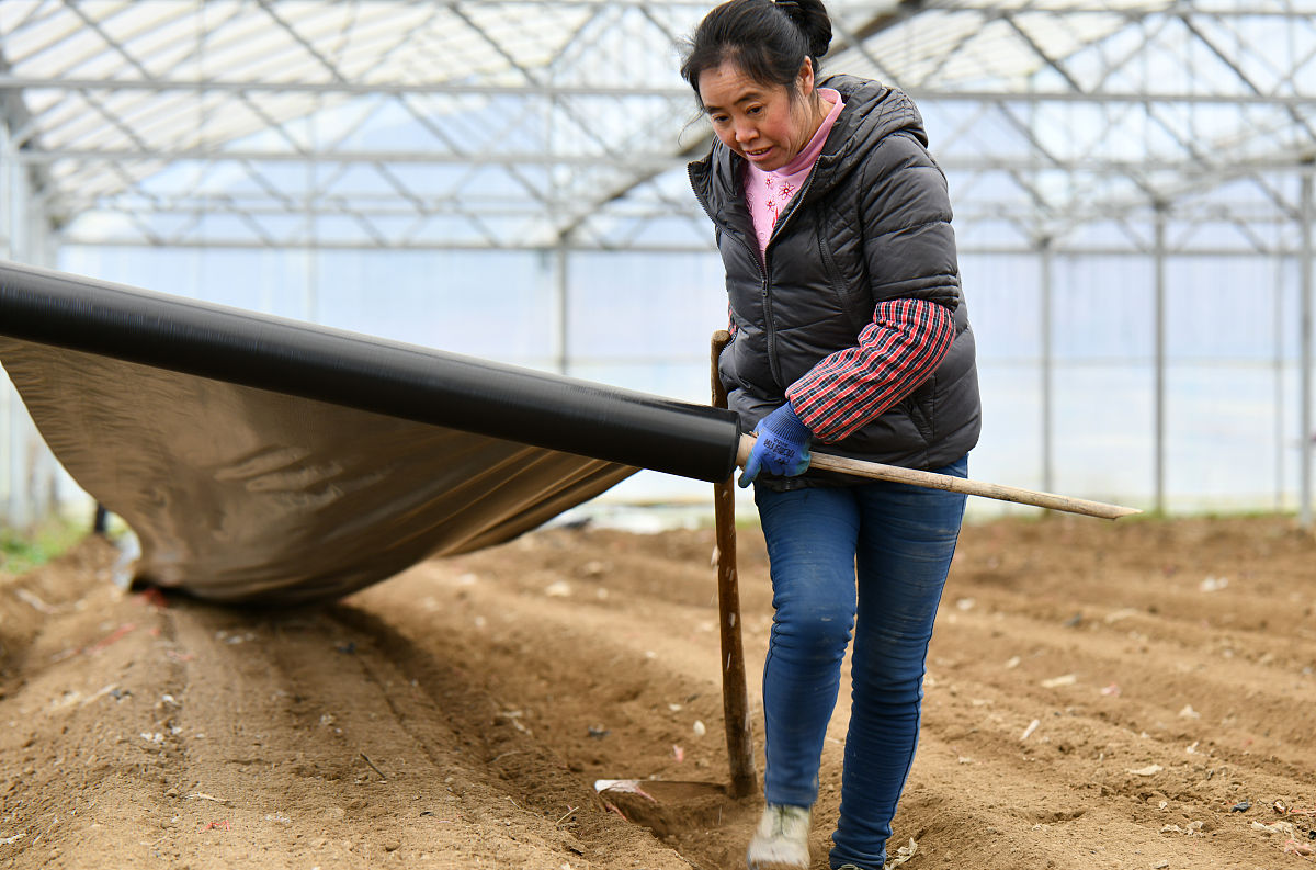 曲靖市农业职业学校2019年五年制大专招生报名