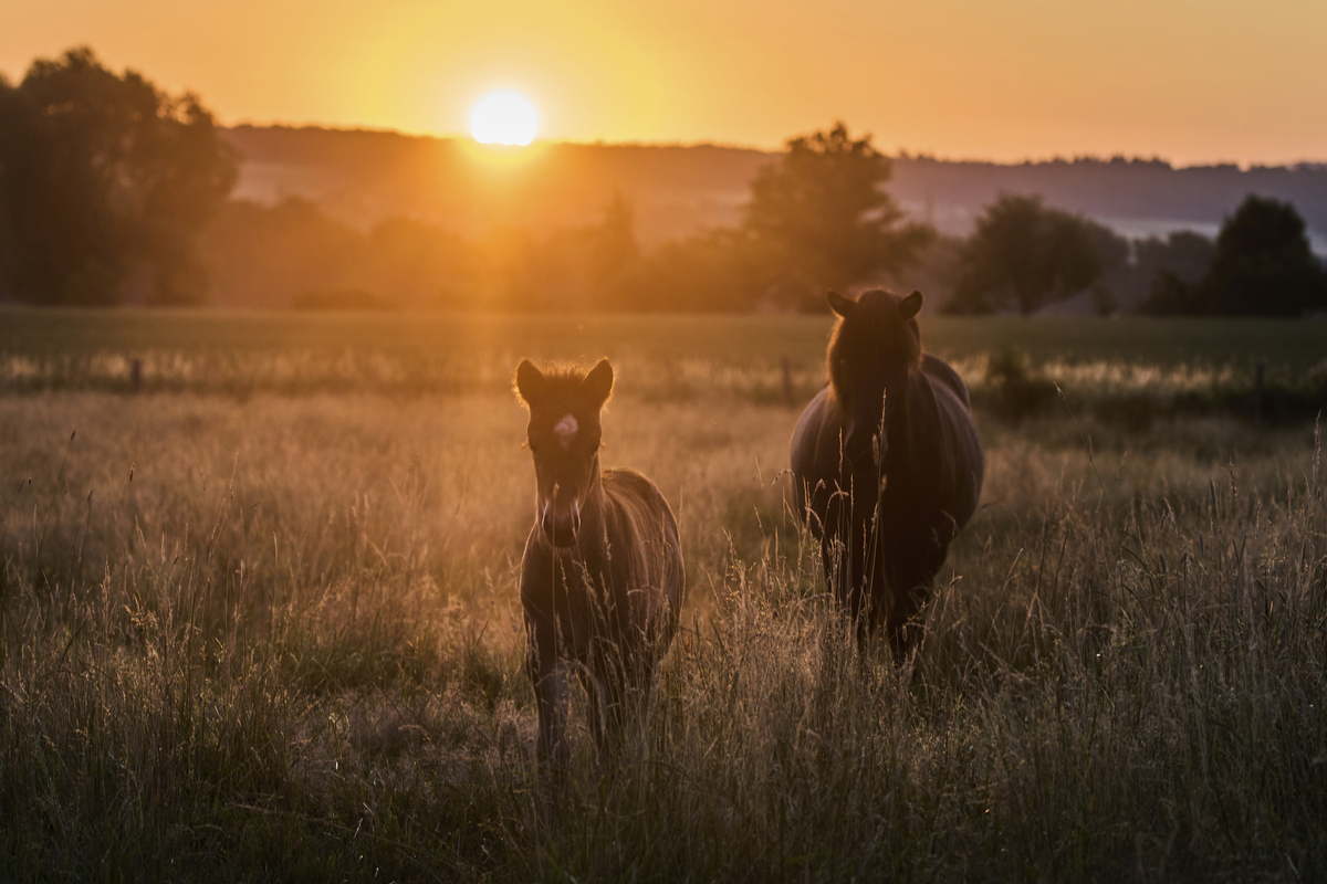 1959年至1961年期间的气候数据报告
