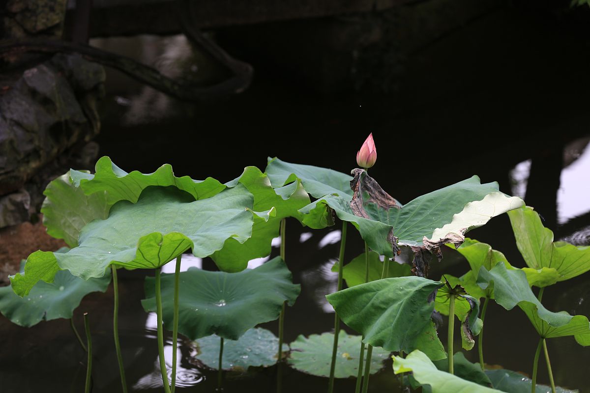 写一篇实习日志内容是关于在畔山酒店市场部实习第一个月的内容和感悟
