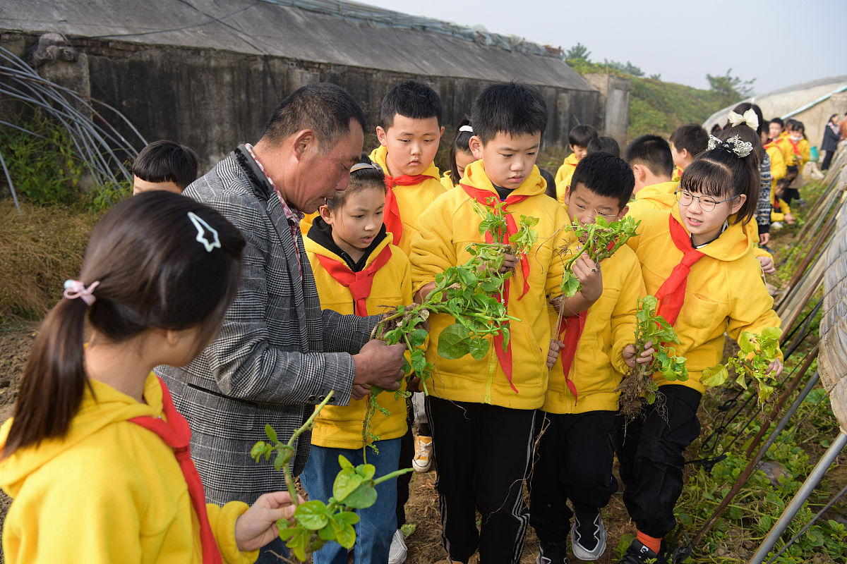 学生劳动教育研学项目计划书