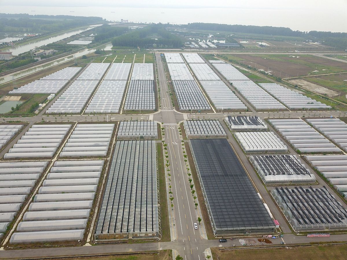 项目计划书的格式是什么样的