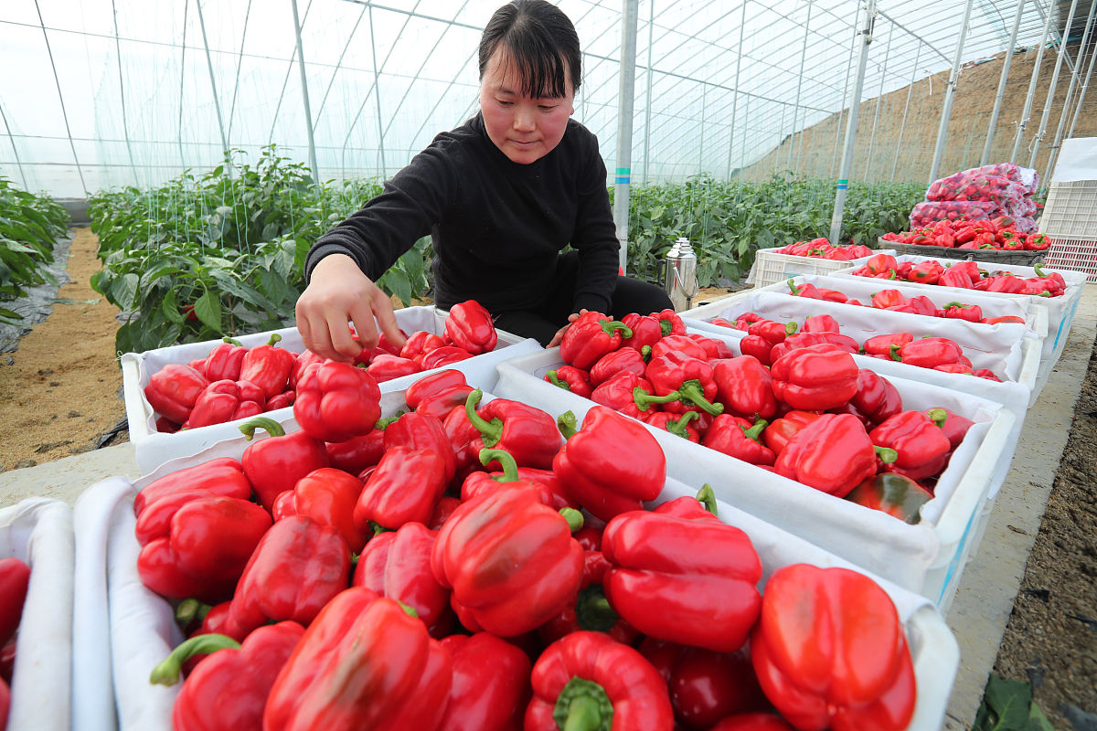 安徽科技学院法学专业怎么样？教学质量及学习建议