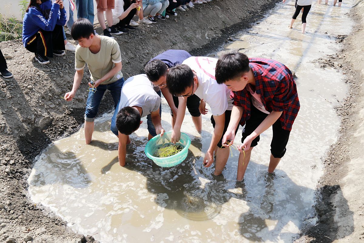 四川护理学校排名:2021年最新推荐
