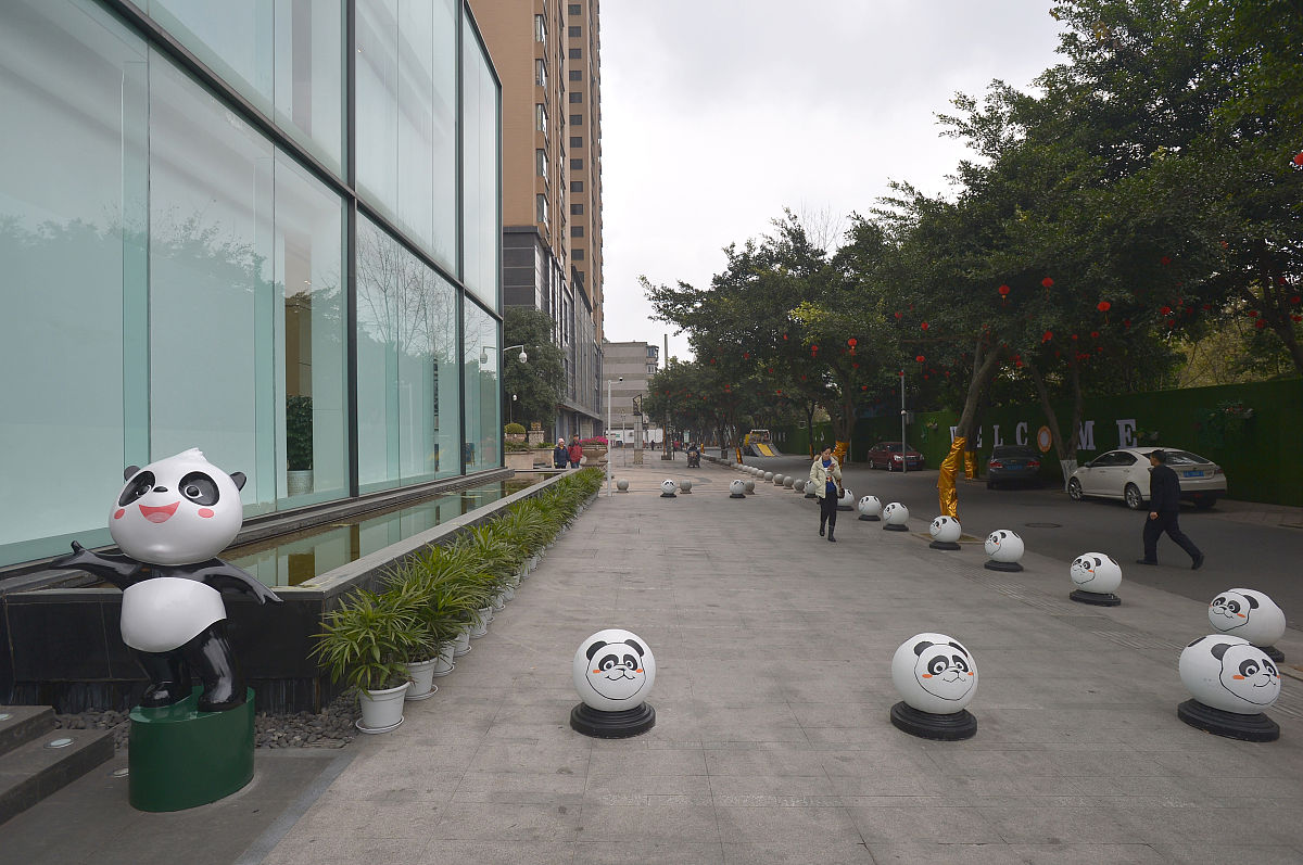 2019年1月10日,成都,桐梓林社区.(如下载使用,请务必署名红星新闻 王
