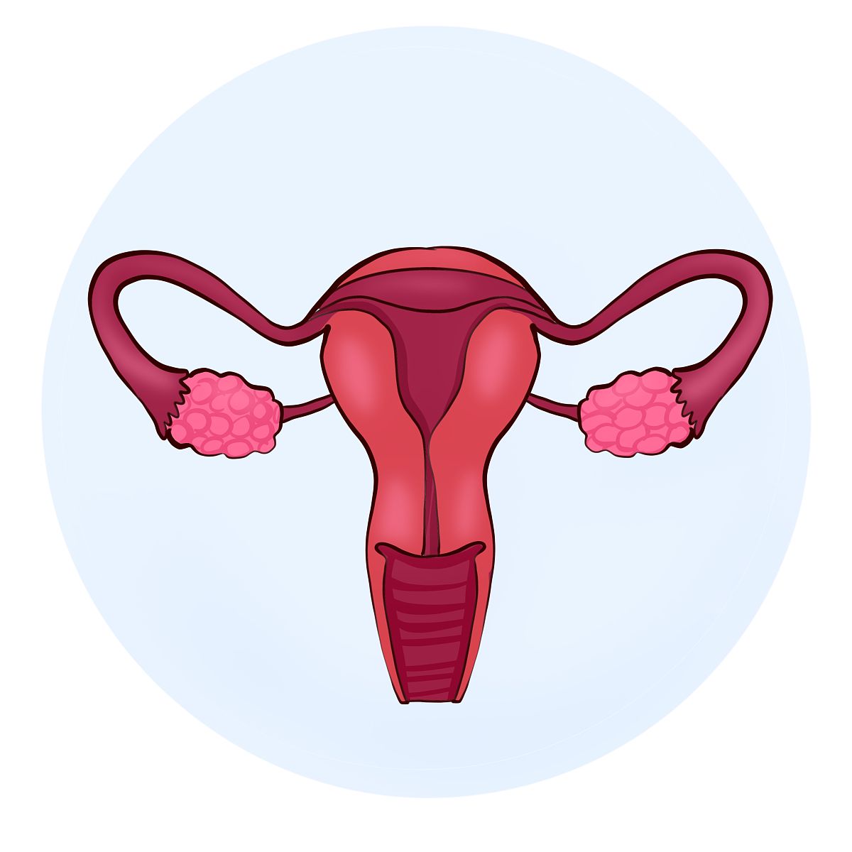 对女性使用塞洛普兰会出现哪些情况