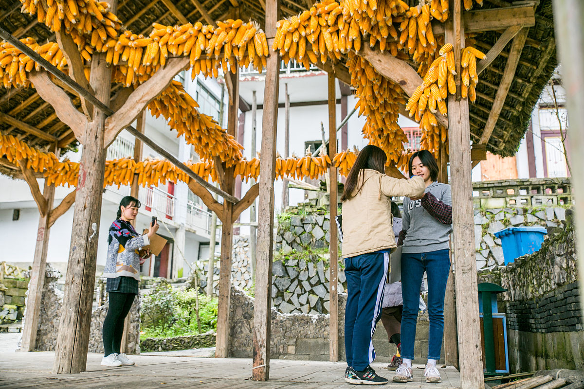 2023贵州省林业学院招生专业及相关信息