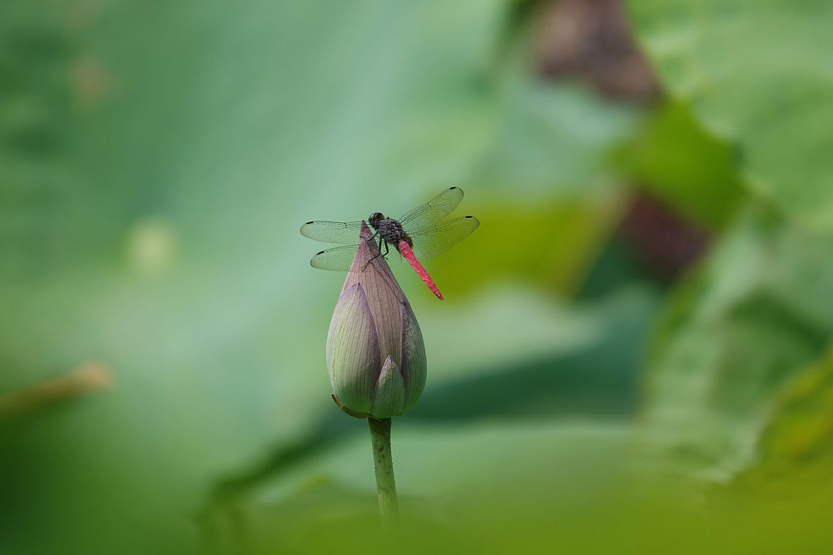 靖西职业技术学校2021年招生专业一览：热门专业、特色课程、入学条件
