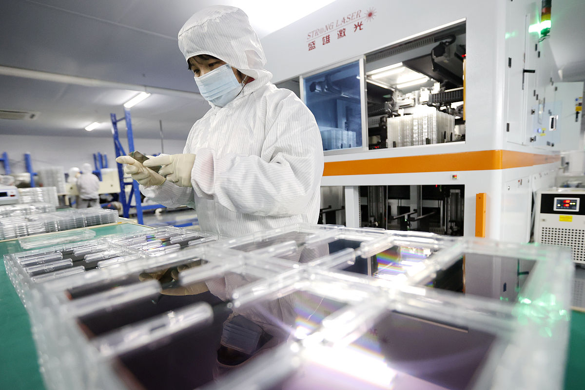 组培公司运营指南：从人员到销售，全面解析组培公司构建与运营