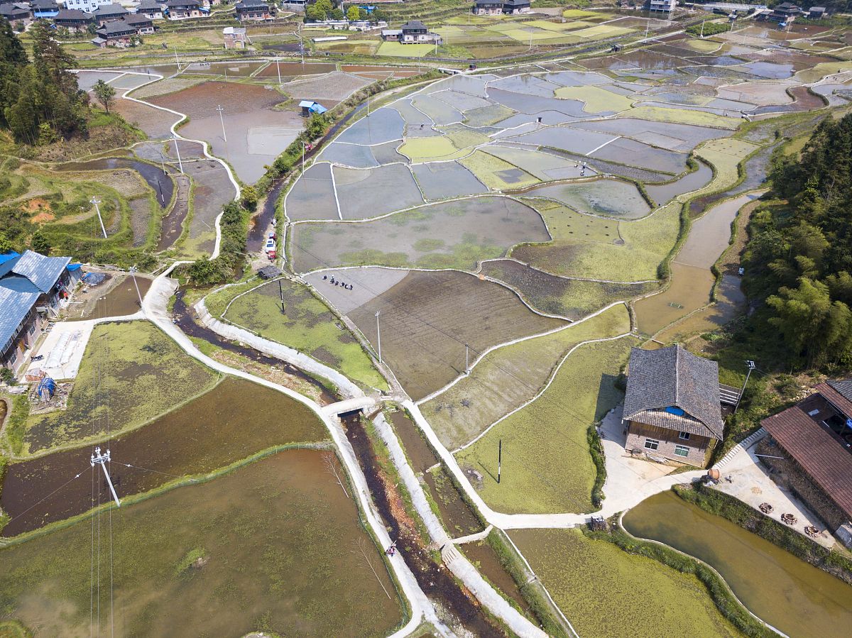 贵州省财政学校电话号码 - 联系方式查询