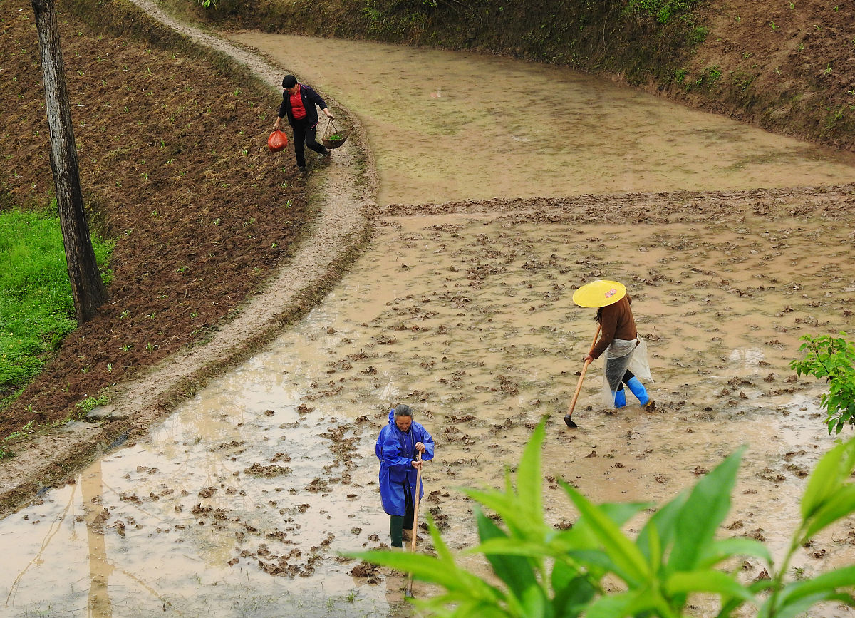 达州中医学校中医就业前景：机遇与挑战并存