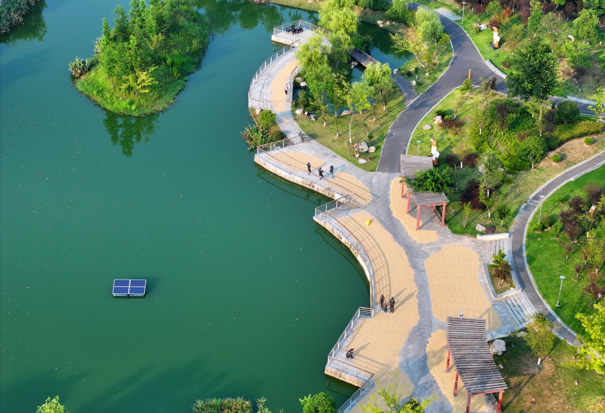 琵琶湖驳岸生态工程初步设计