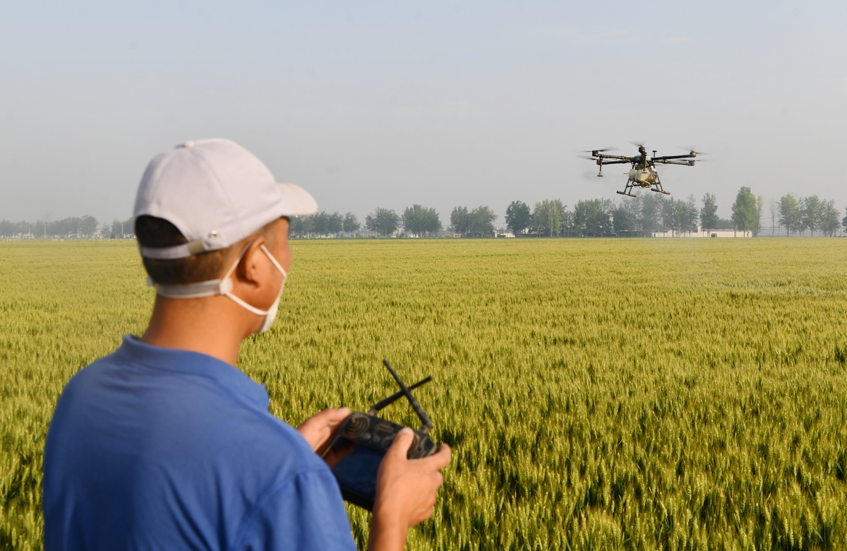 蝗虫防治的研究进展内容包括研究进展以及未来展望、最后为参考文献要求2000字