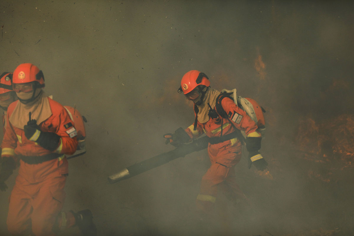 消防员战术意识培养：提升灭火救援行动效率