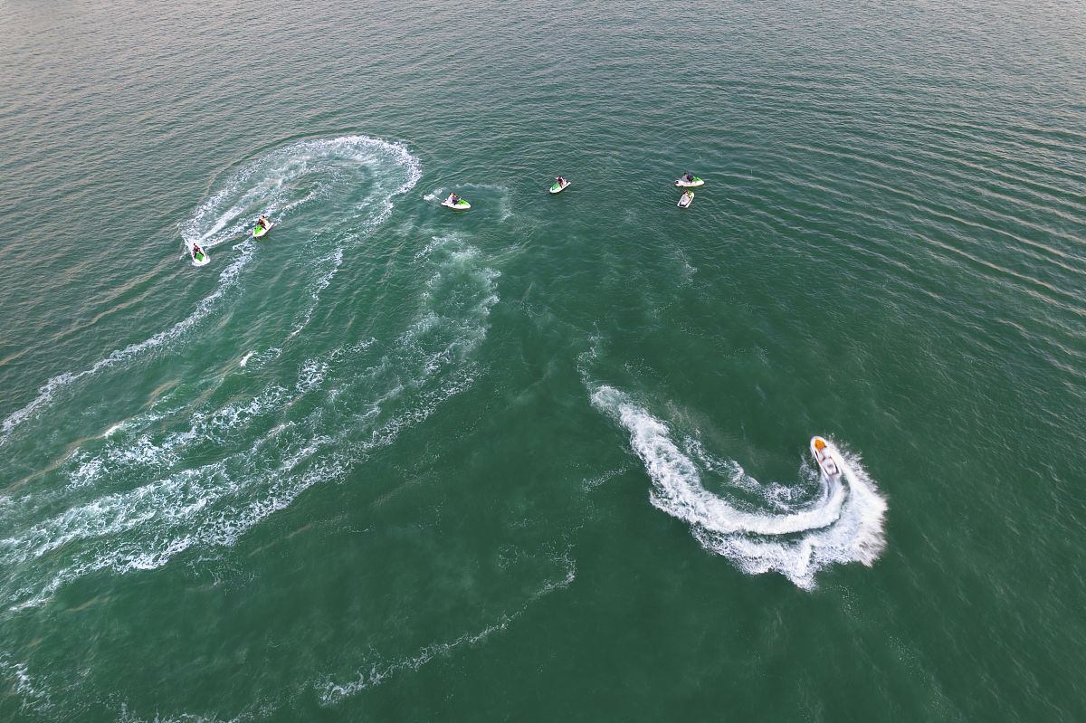 广西海洋研究院实习报告：海洋科学实践之旅