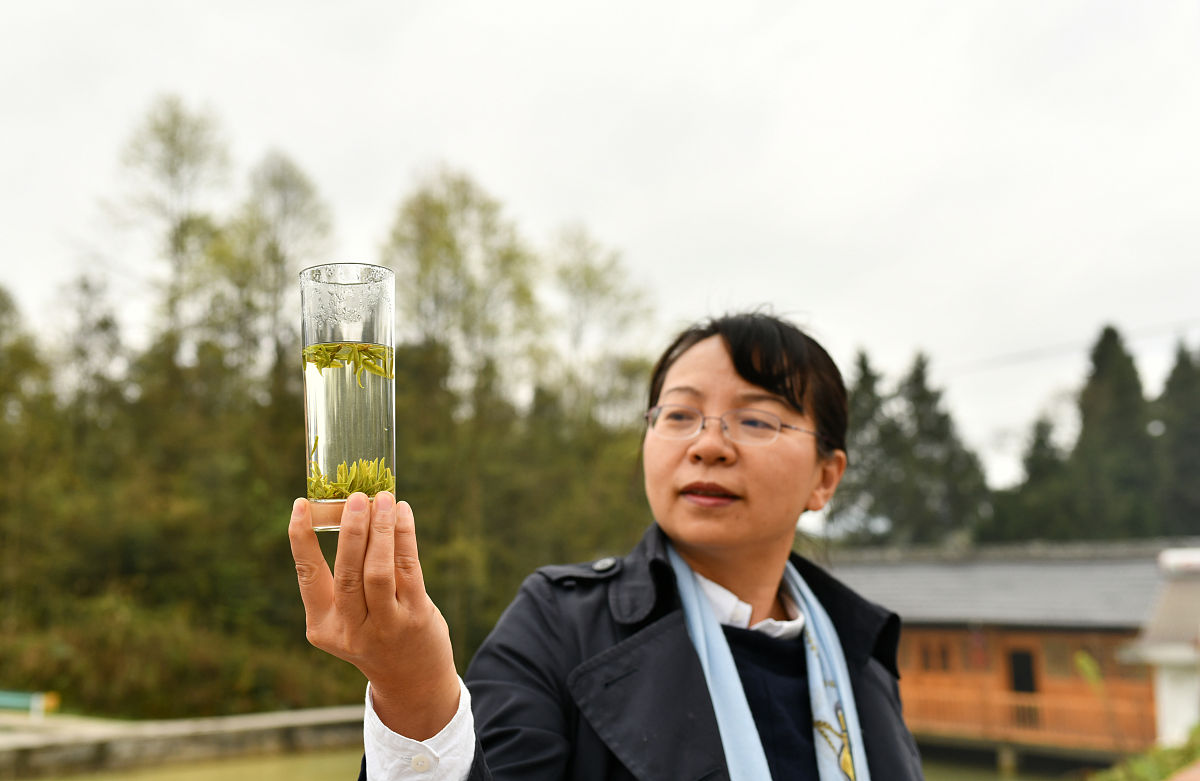 贵州省专科学校学习冶金技术专业好就业吗？