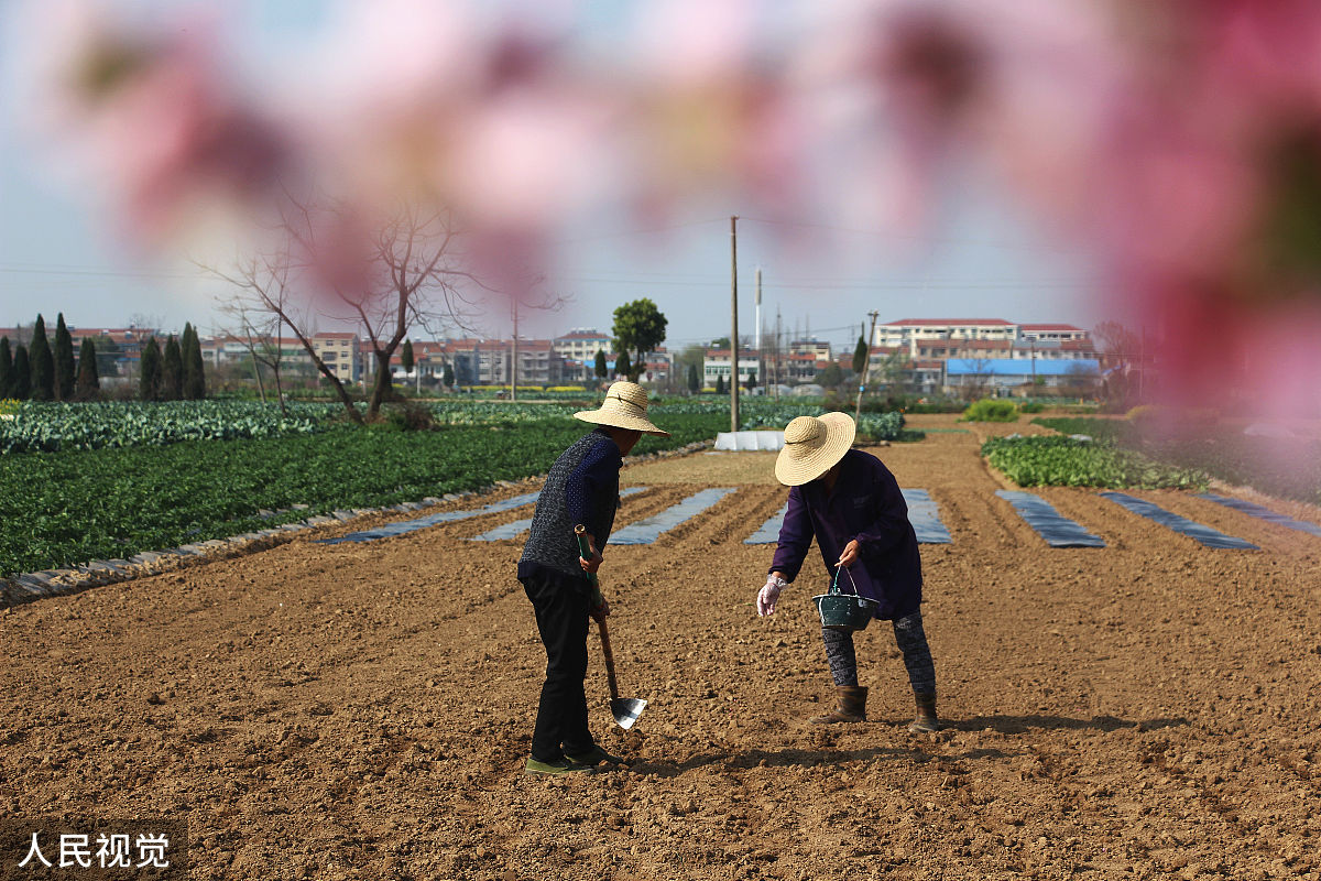 锄农业是什么意思_词语锄农业的意思